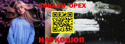 крисы Сланцы