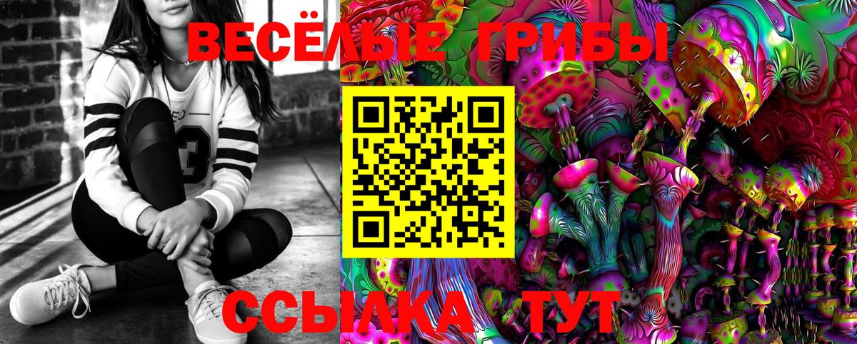 Галлюциногенные грибы Cubensis Тулун