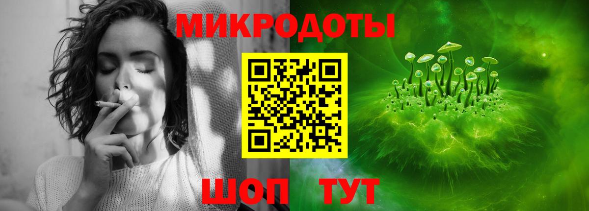 Галлюциногенные грибы Cubensis  Вход с VPN  Тулун  где купить наркоту  Галлюциногенные грибы GOLDEN TEACHER 