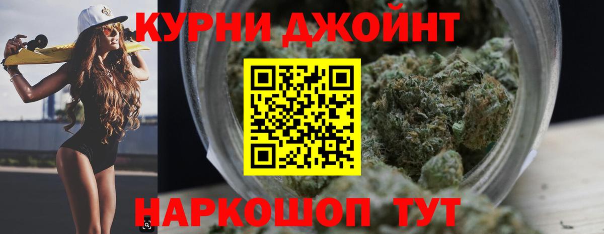 Бошки Шишки семена Тулун